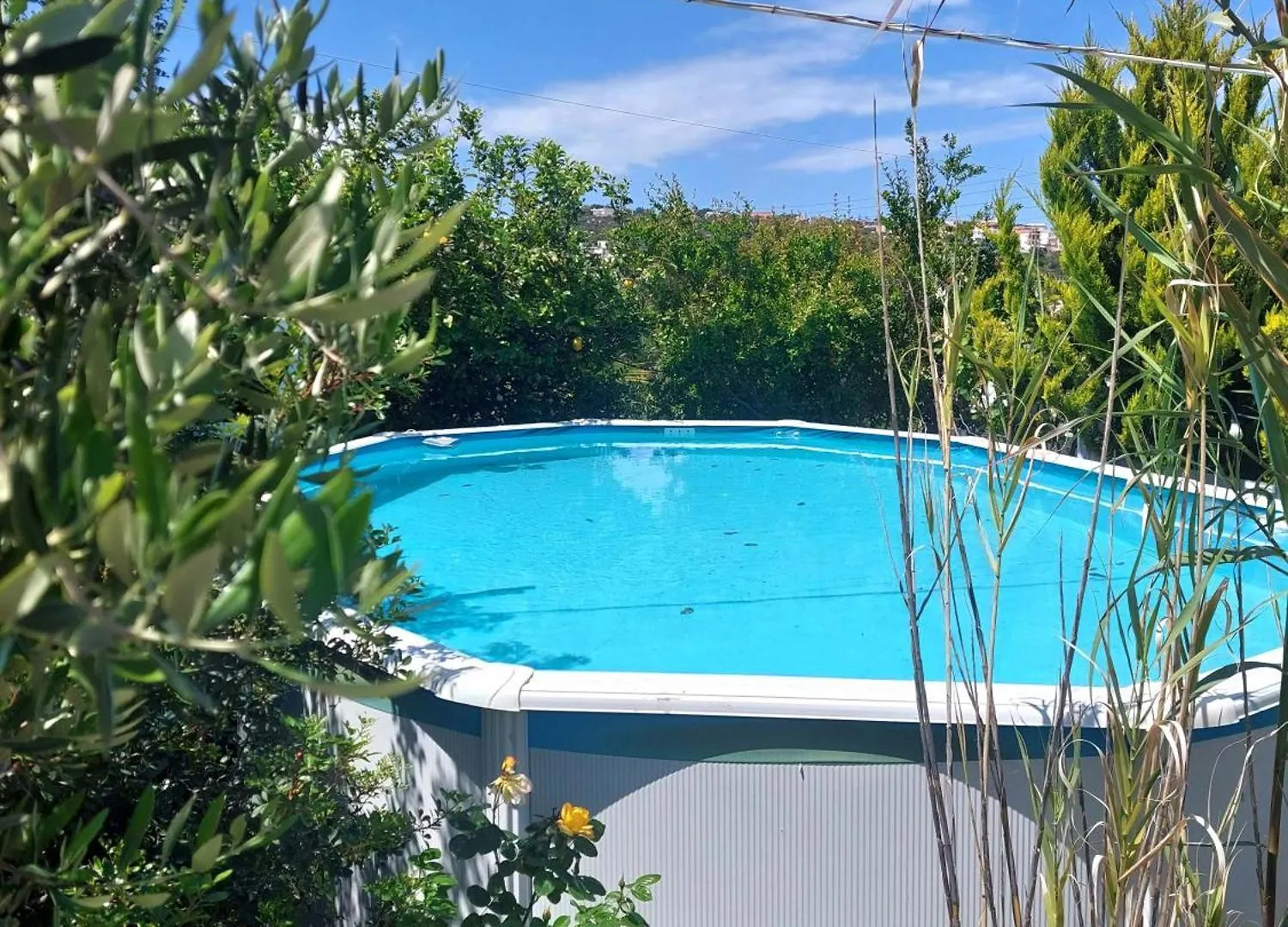 Dream Tiny House Or Luxus Tent With Pool خانيا 0*,